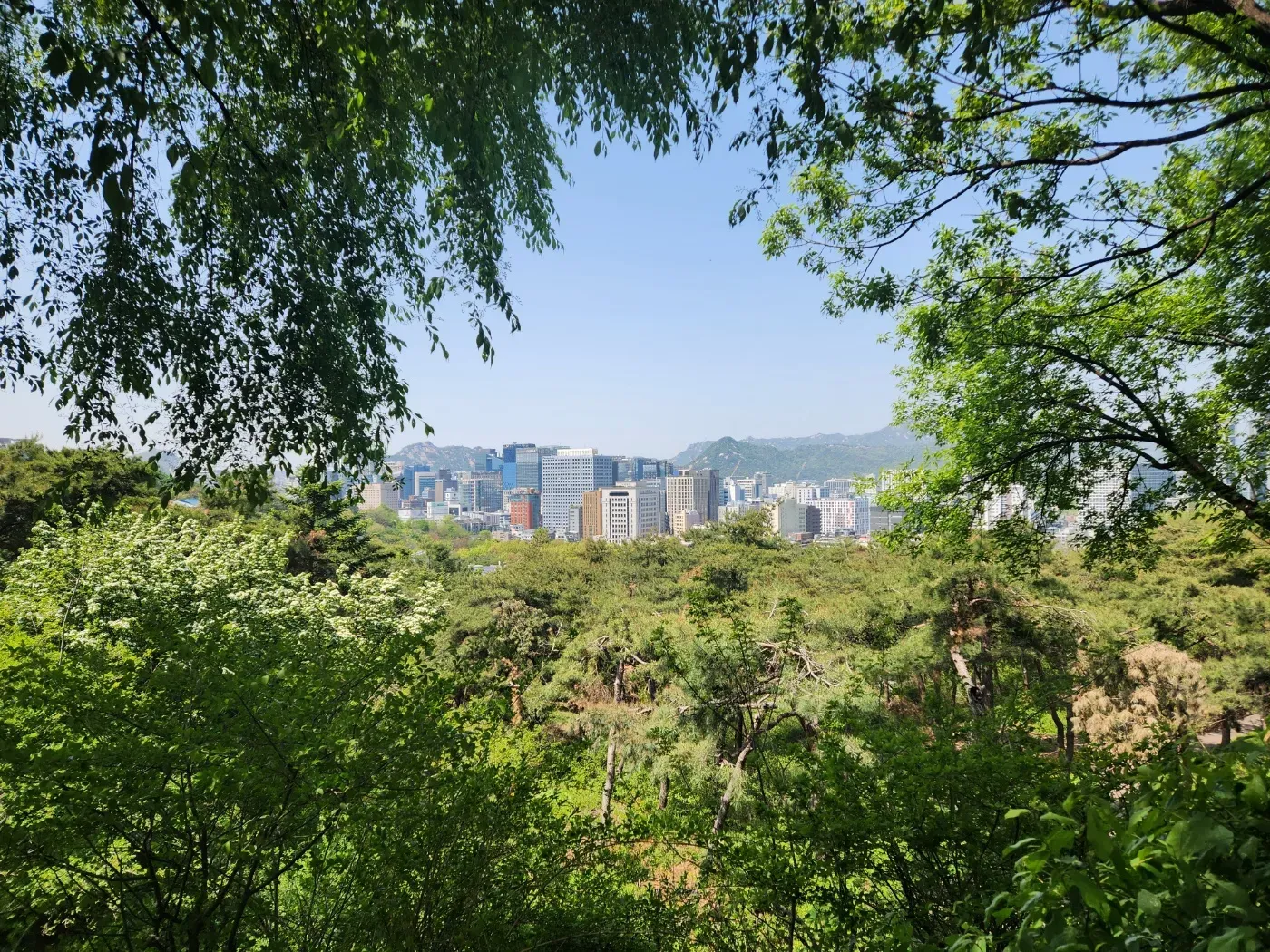 제로변호사 법률사무소가 위치한 서울 중구 도심 전경
